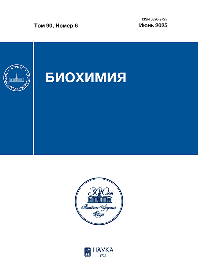 Бет Тақырыбының Логотипі