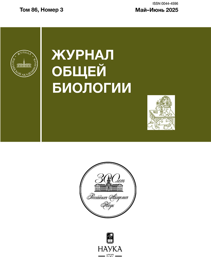 Бет Тақырыбының Логотипі