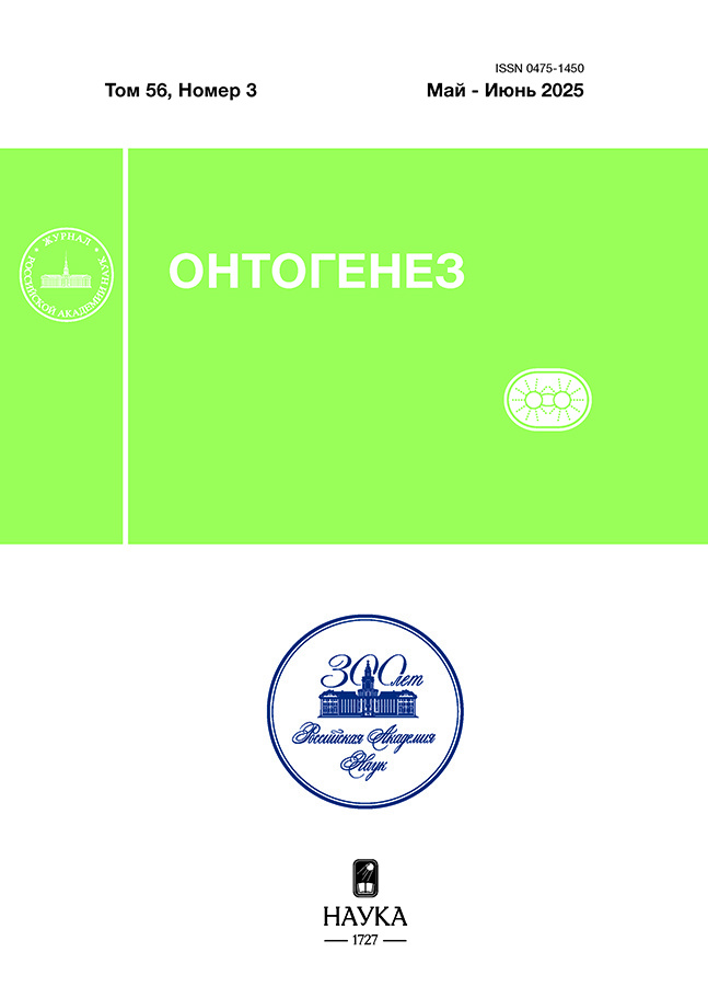 Бет Тақырыбының Логотипі